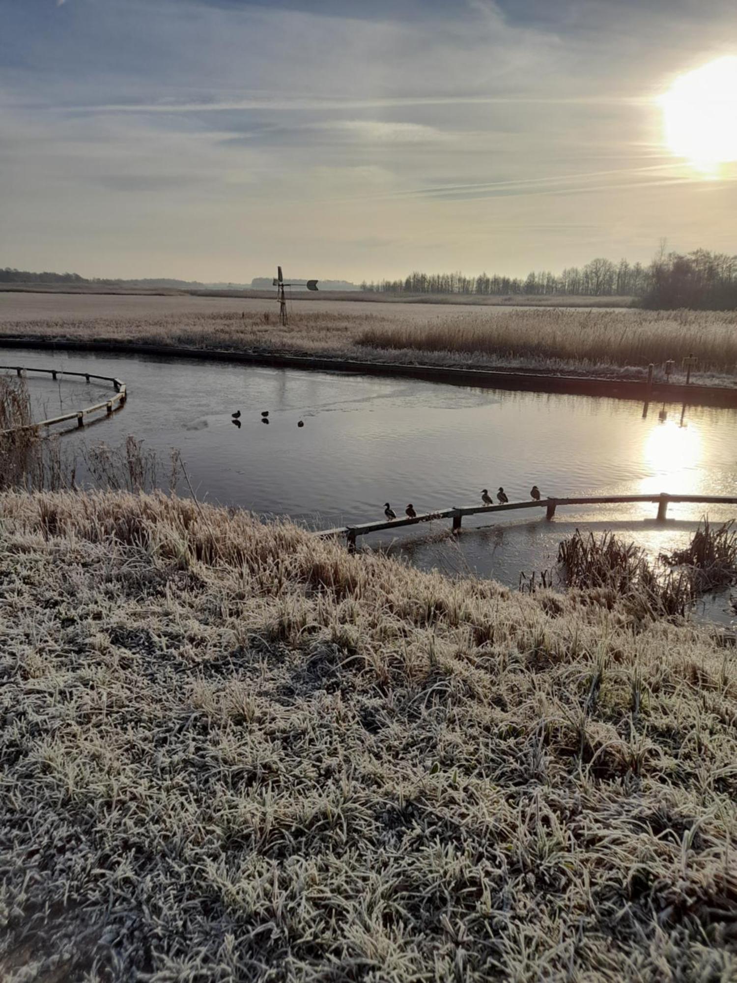 Wuivend Riet Gelegen Op Resort Venetie فيتهورن الغرفة الصورة
